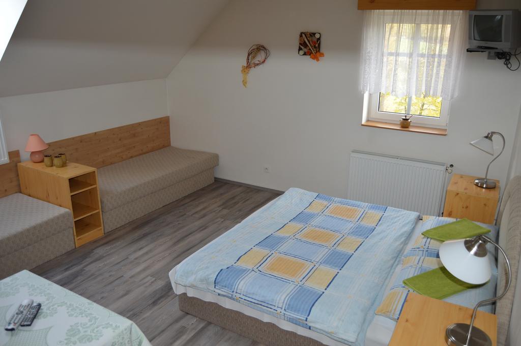 Penzion U Pily Paseky nad Jizerou Kamer foto